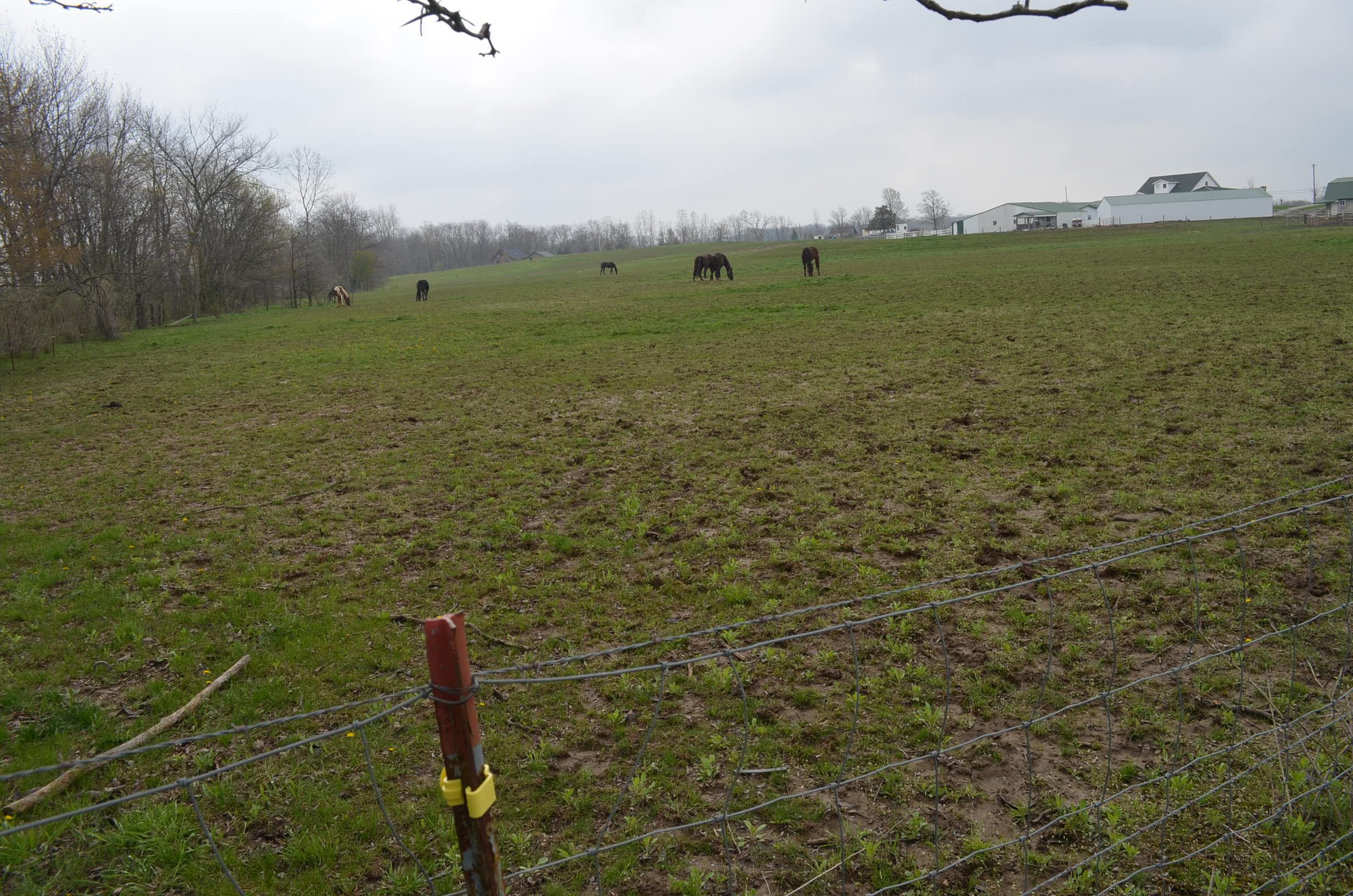 Property photo 5 - Amish Farm Auction - 7 Bedroom 2 Bathroom Home